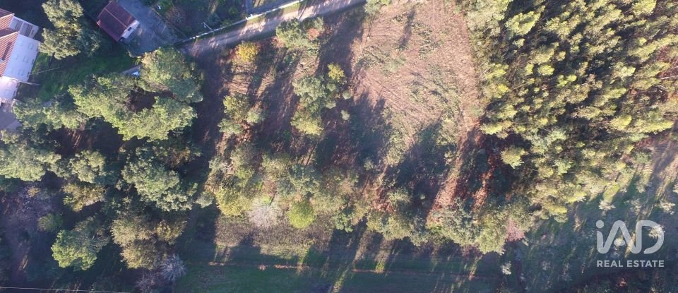 Terreno urbano em Poiares (Santo André) de 4 800 m²