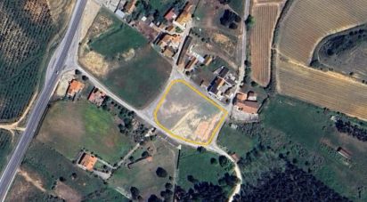 Terrain à Alcoentre de 5 871 m²