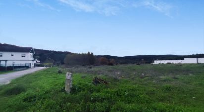 Terrain à Alcoentre de 5 871 m²