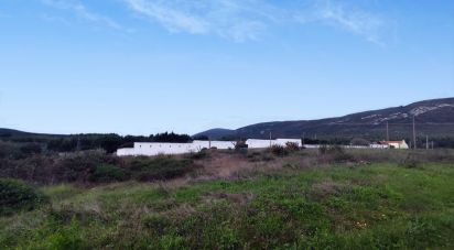 Terrain à Alcoentre de 5 871 m²