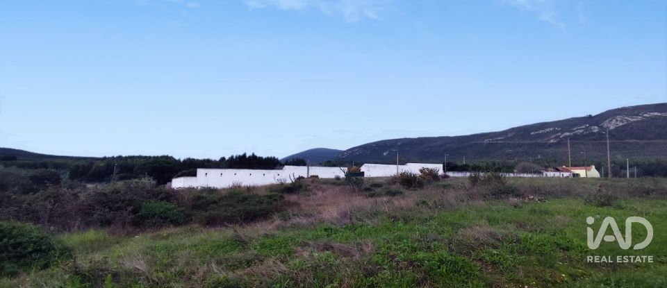 Terreno em Alcoentre de 5 871 m²