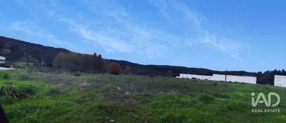 Terreno em Alcoentre de 5 871 m²
