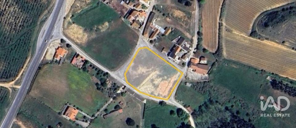 Terreno em Alcoentre de 5 871 m²