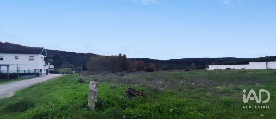 Terreno em Alcoentre de 5 871 m²