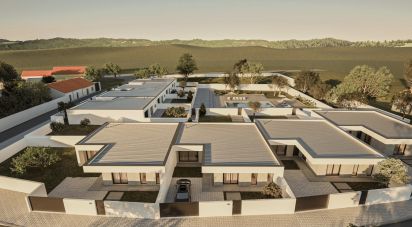 Terrain à Alcoentre de 9 246 m²