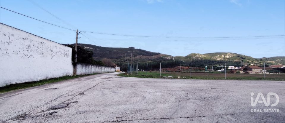 Terrain à Alcoentre de 9 246 m²