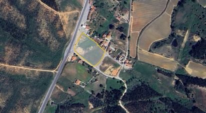 Terrain à Alcoentre de 9 246 m²