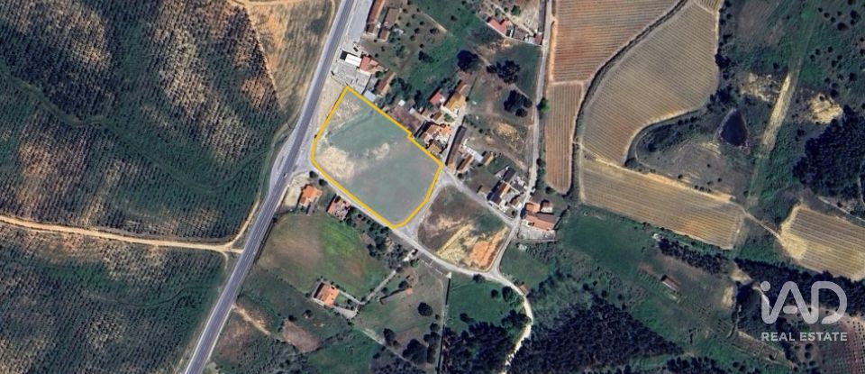 Terrain à Alcoentre de 9 246 m²