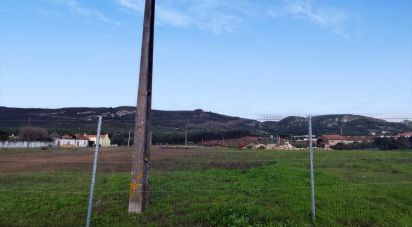 Terrain à Alcoentre de 9 246 m²