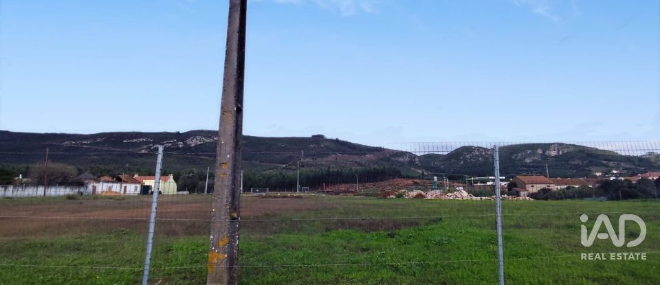 Terrain à Alcoentre de 9 246 m²