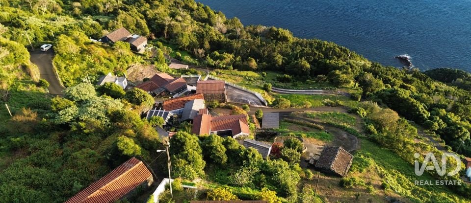 Maison T2 à Ribeiras de 175 m²