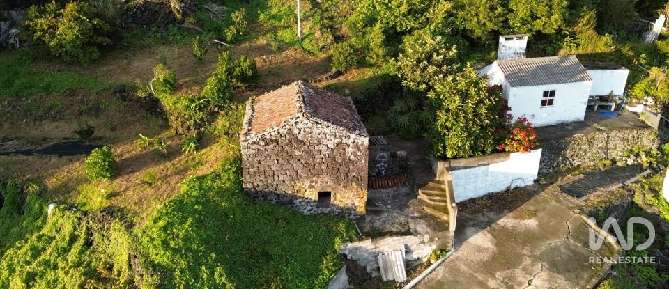 Maison T2 à Ribeiras de 175 m²