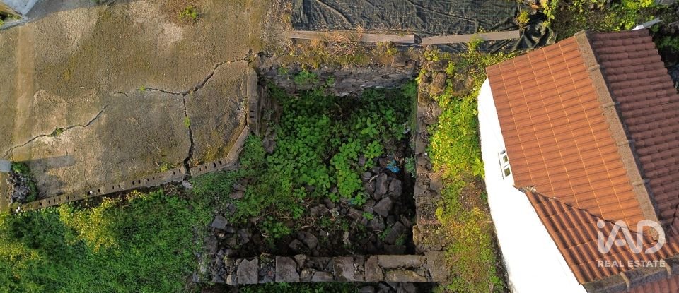 Maison T2 à Ribeiras de 175 m²