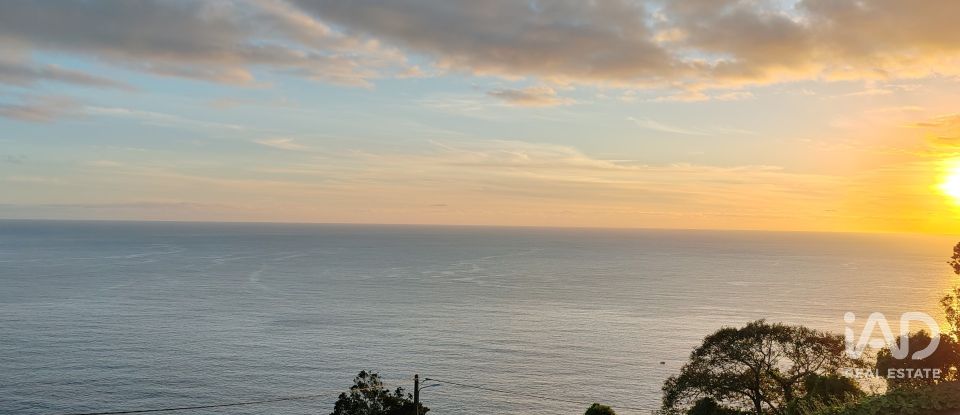 Maison T2 à Ribeiras de 175 m²