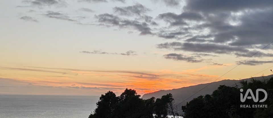 Maison T2 à Ribeiras de 175 m²