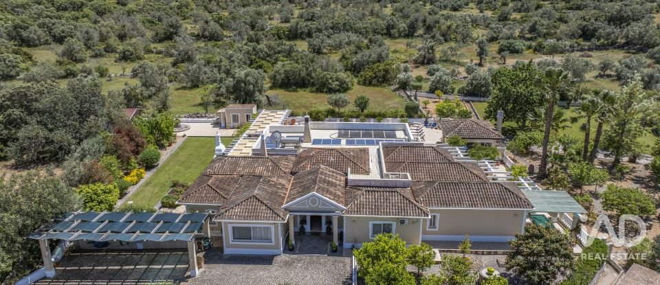 Quinta T4 em Santa Bárbara de Nexe de 400 m²