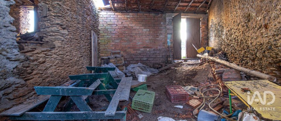 Moradia T0 em Ceira de 75 m²