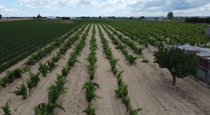 Terrain agricole à Benfica do Ribatejo de 9 040 m²