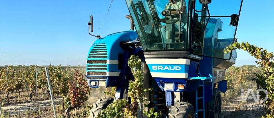 Farm land in Benfica do Ribatejo of 9,040 m²