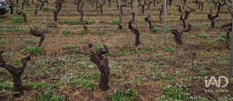 Farm land in Benfica do Ribatejo of 9,040 m²