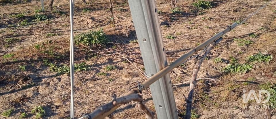 Farm land in Benfica do Ribatejo of 9,040 m²