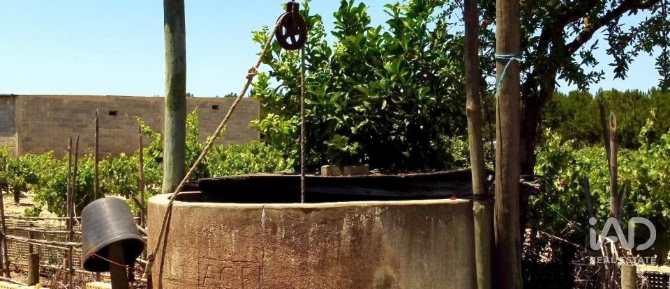 Farm land in Benfica do Ribatejo of 9,040 m²