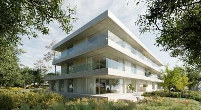 Terrain à Real de 5 427 m²