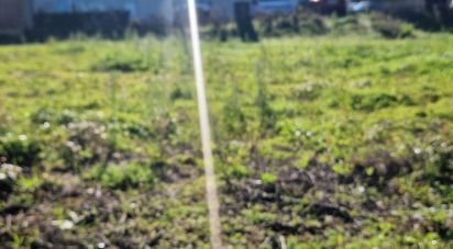 Terrain à bâtir à Batalha de 555 m²