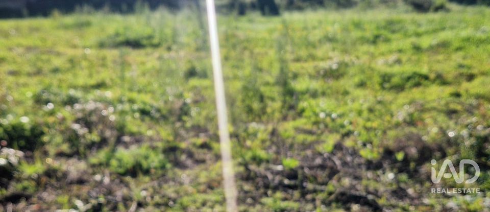 Terreno urbano em Batalha de 555 m²