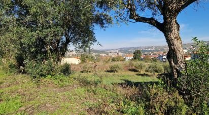 Terrain à bâtir à Batalha de 555 m²