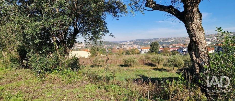 Terreno urbano em Batalha de 555 m²