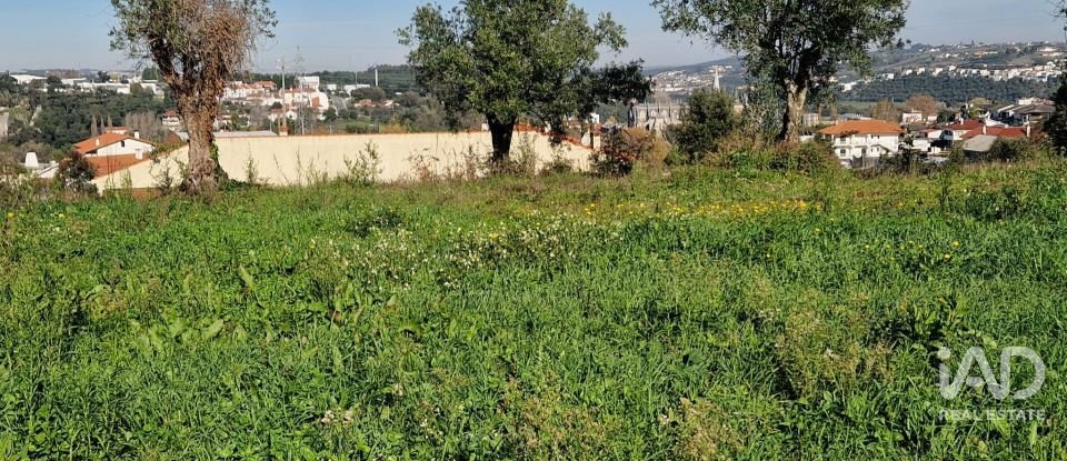 Terreno urbano em Batalha de 555 m²