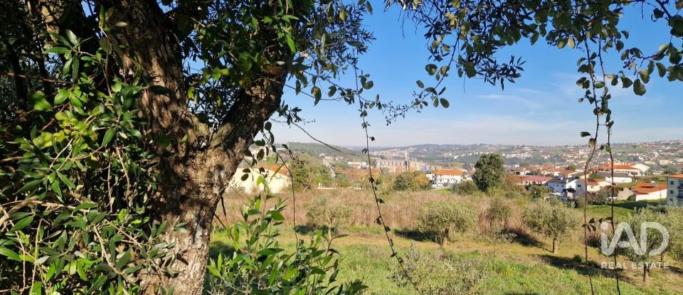 Terreno urbano em Batalha de 555 m²