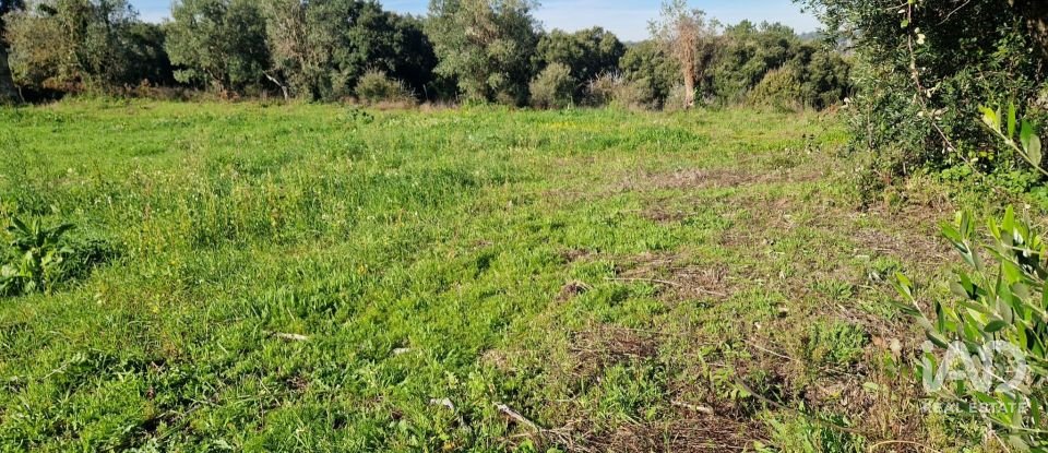 Terreno urbano em Batalha de 555 m²