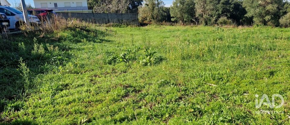 Terreno urbano em Batalha de 555 m²