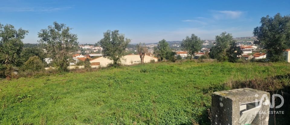 Terreno urbano em Batalha de 555 m²