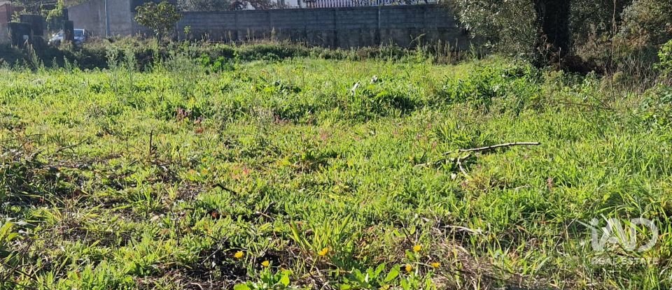 Terreno urbano em Batalha de 555 m²