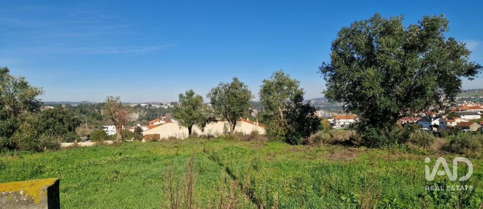 Terreno urbano em Batalha de 555 m²