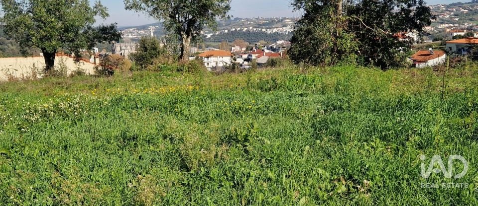 Terreno urbano em Batalha de 555 m²