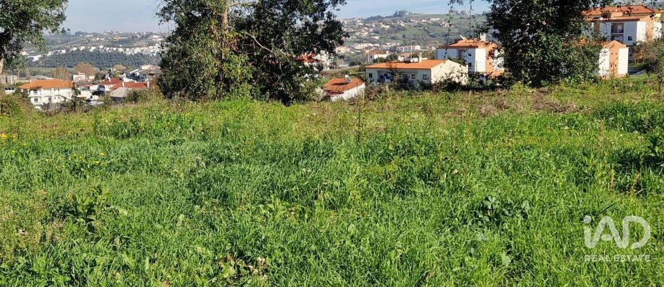 Terreno urbano em Batalha de 555 m²