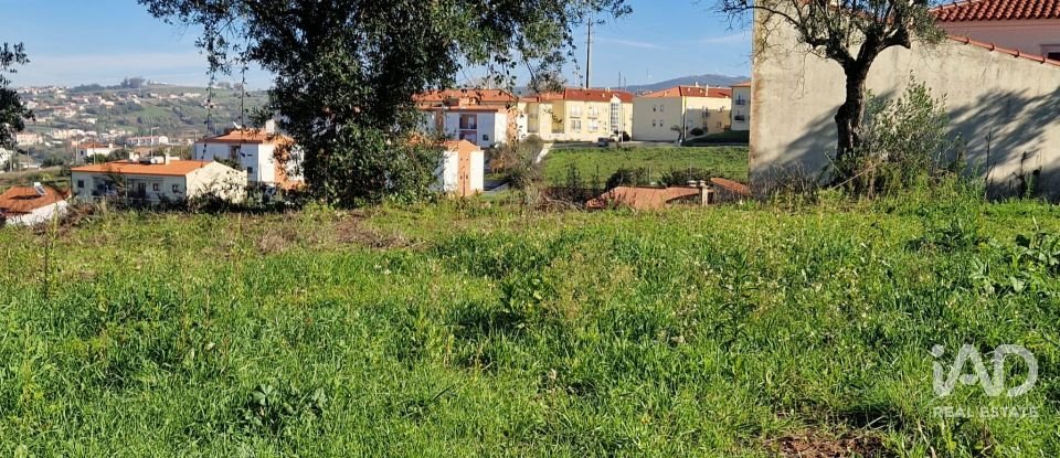 Terreno urbano em Batalha de 555 m²