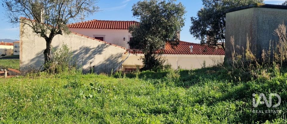 Terreno urbano em Batalha de 555 m²