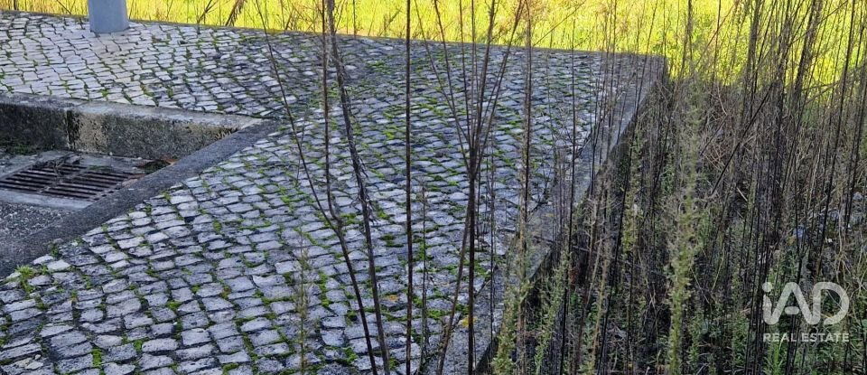 Terreno urbano em Batalha de 555 m²