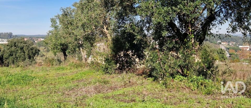 Terreno urbano em Batalha de 555 m²