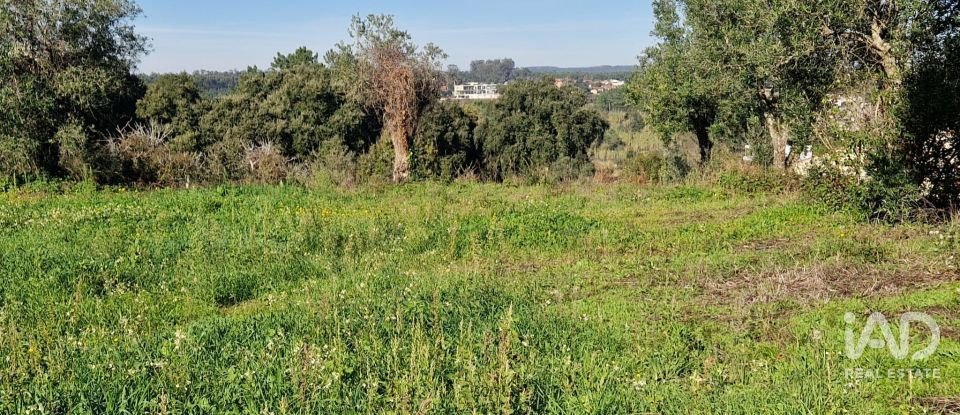 Terreno urbano em Batalha de 555 m²