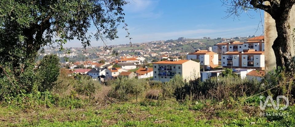 Terreno urbano em Batalha de 555 m²