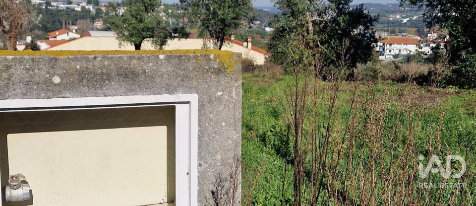 Terreno urbano em Batalha de 555 m²
