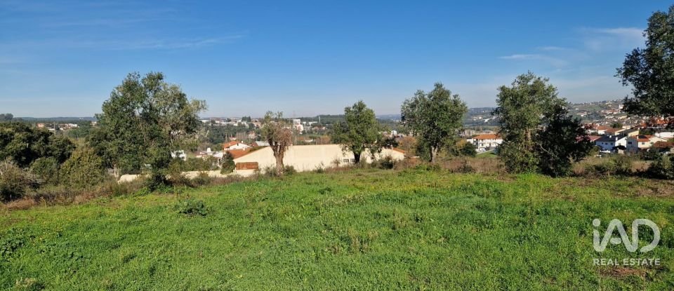 Terreno urbano em Batalha de 555 m²