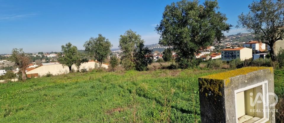 Terreno urbano em Batalha de 555 m²