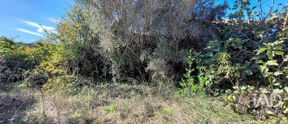 House T5 in Paderne of 160 m²